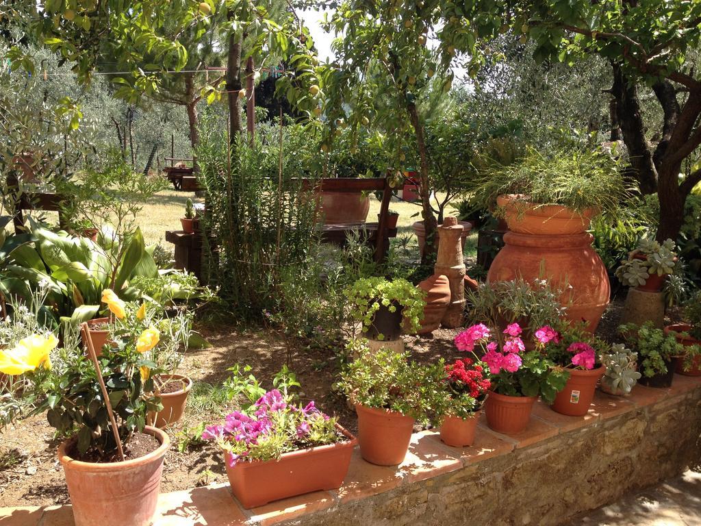 Agriturismo Il Viaio Fiesole Exterior photo